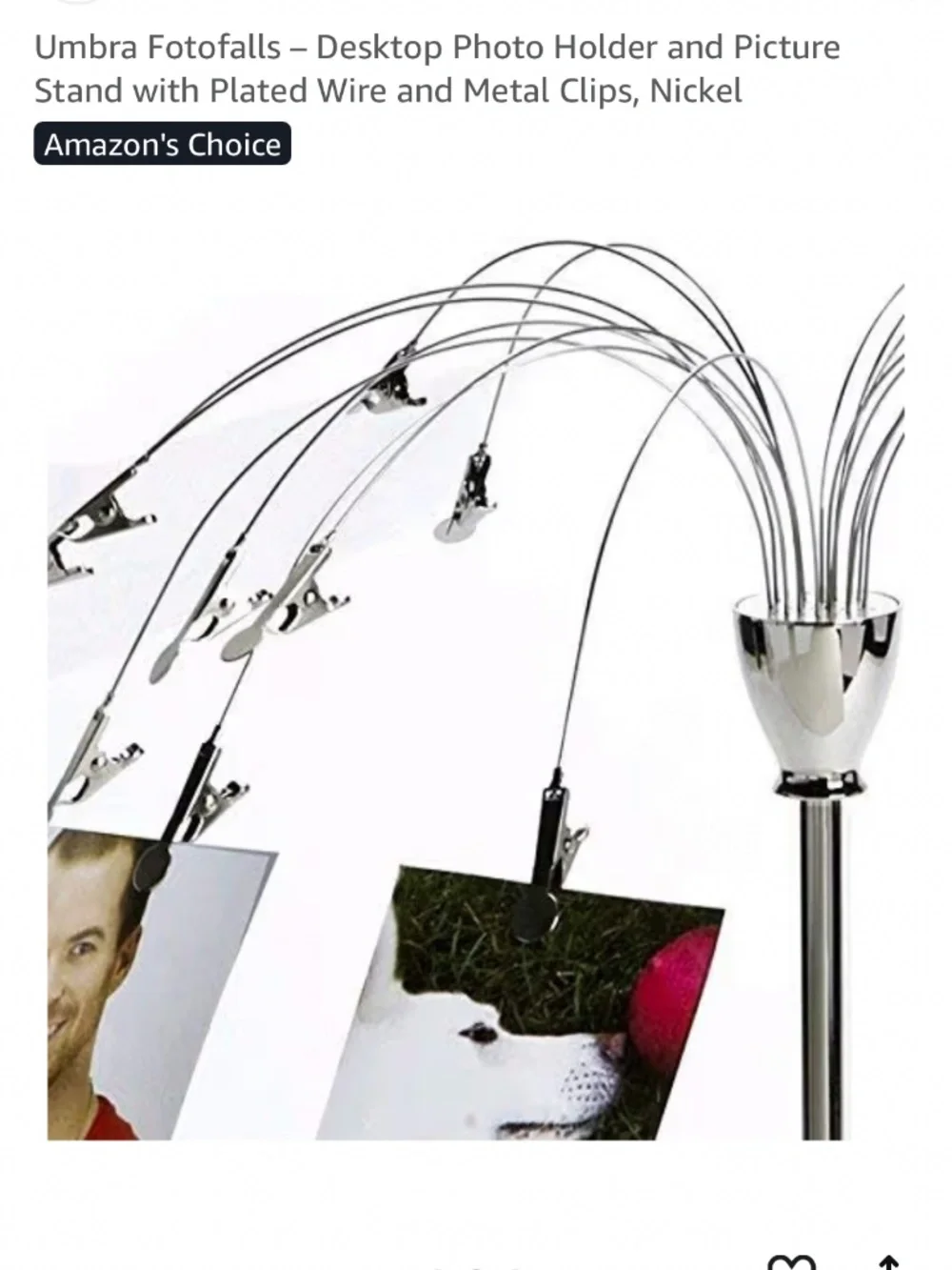 (7)   Desktop Photo Holders and Picture Stands with Plated Wire and Me